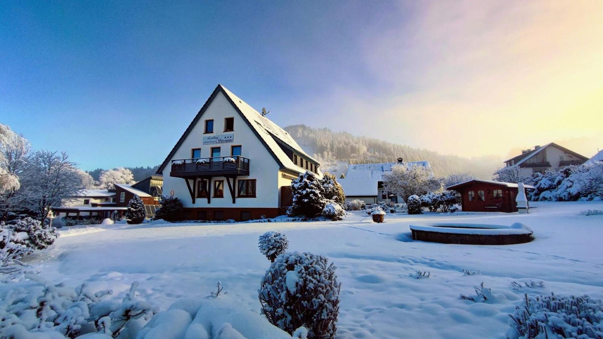 Landhaus Stremme Виллинген Экстерьер фото